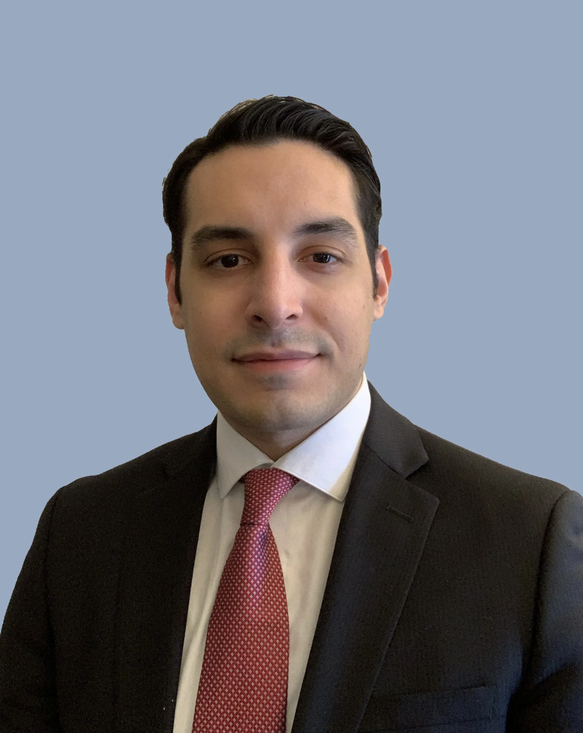 <strong>2026 Award Recipient</strong><br>
Syed M. Ali Hassan